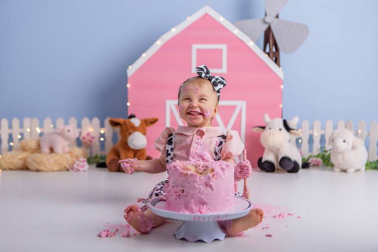 Júlia ♥ Fazendinha Rosa
Smash The Cake em Porto Alegre