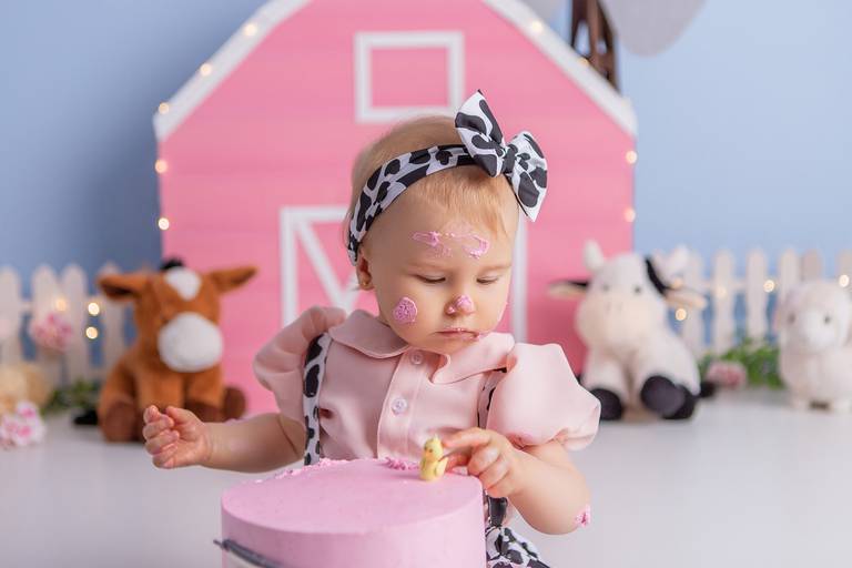 Júlia ♥ Fazendinha Rosa
Smash The Cake em Porto Alegre