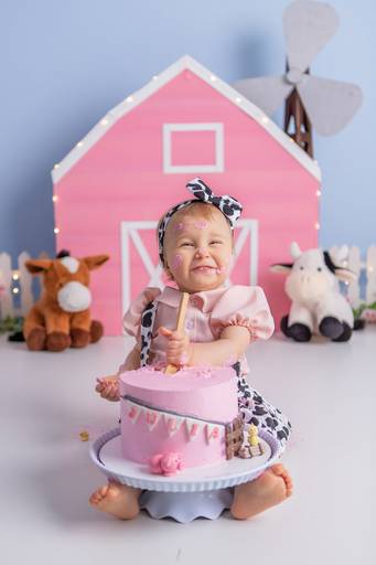 Júlia ♥ Fazendinha Rosa
Smash The Cake em Porto Alegre