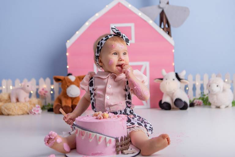 Júlia ♥ Fazendinha Rosa
Smash The Cake em Porto Alegre