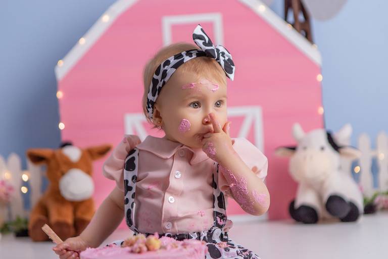 Júlia ♥ Fazendinha Rosa
Smash The Cake em Porto Alegre