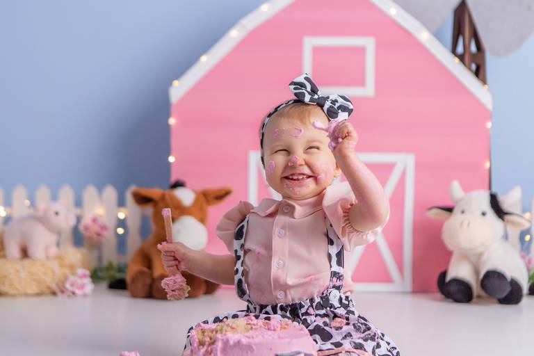 Júlia ♥ Fazendinha Rosa
Smash The Cake em Porto Alegre