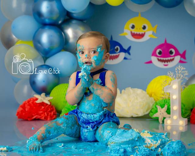 Lorenzo Gabriel ♥ Baby Shark
Smash The Cake em Porto Alegre