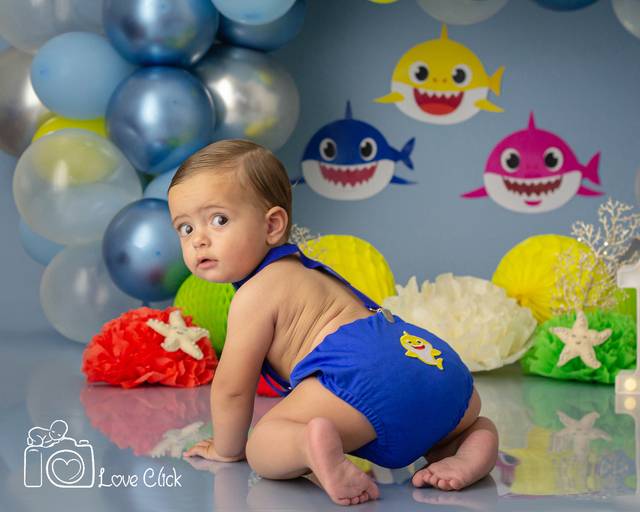 Lorenzo Gabriel ♥ Baby Shark
Smash The Cake em Porto Alegre