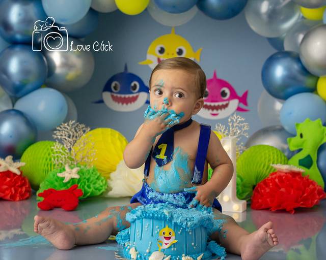 Lorenzo Gabriel ♥ Baby Shark
Smash The Cake em Porto Alegre