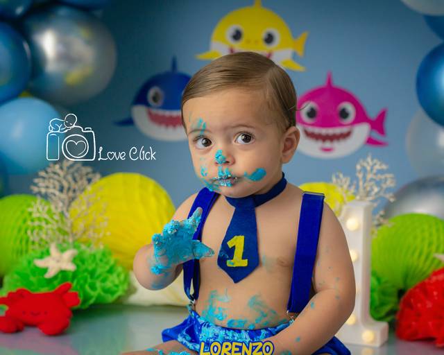 Lorenzo Gabriel ♥ Baby Shark
Smash The Cake em Porto Alegre