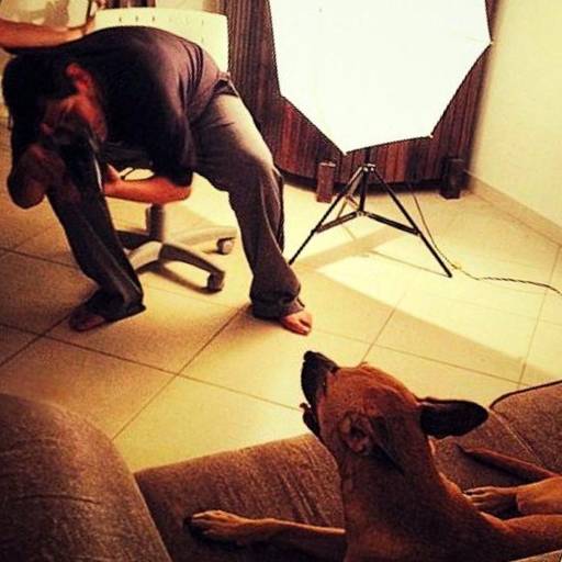 Making off de ensaio pet na casa do cliente