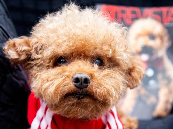 Vencedor do concurso, Rafinha ao lado da revista