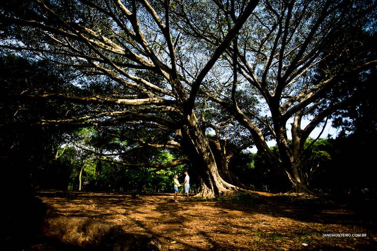 jane-monteiro-fotografia-gestante-gravida-newborn-familia-sao-paulo--ibirapuera 