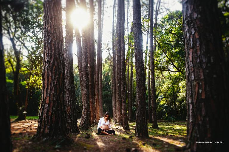 jane-monteiro-fotografia-gestante-gravida-newborn-familia-sao-paulo--ibirapuera 
