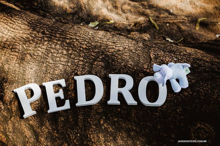 jane-monteiro-fotografia-gestante-gravida-newborn-familia-sao-paulo -parque-ibirapuera 