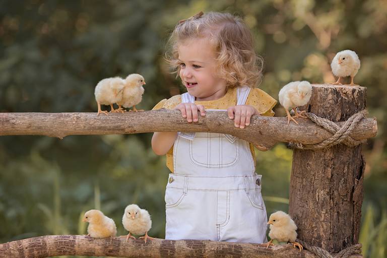 Niña con pollitos en la tranquera. Fotografía al atardecer en el campo. Sesión de fotos infantil. Barby Massei.