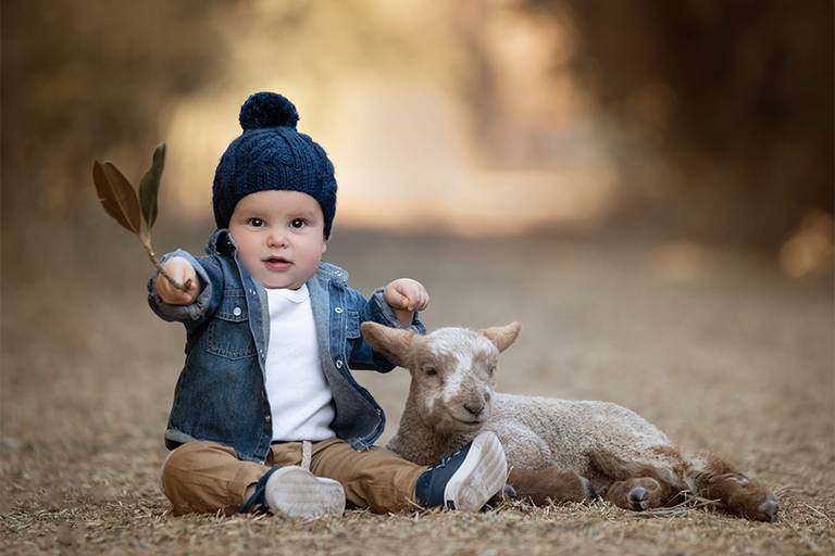 Niño con gorro azul y corderito en la sesión de un año. Barby Massei fotografia. Santa Fe