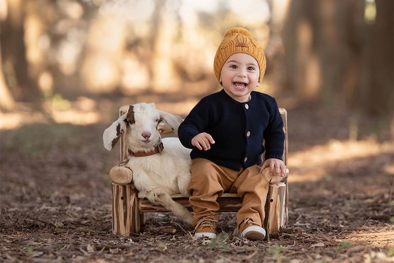 Sesión infantil en la naturaleza. Corderito sentado en el banquito con niño de 1 año. Campo al atardecer. Barby Massei
