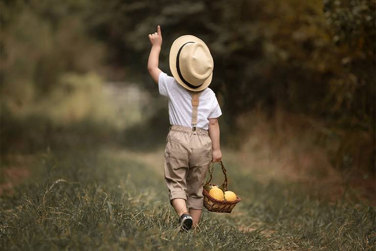 Niño en el campo juntando limones con su canastita marrón, su sombrero y tiradores. Caminando feliz en el campo, una tarde en San José de la Esquina. Book de fotos infantil. Sesión tres años. Barby Massei fotógrafa.