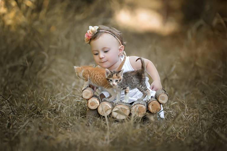 Niña de un año jugando con dos gatitos en el campo uno color gris y otro color naranja. Con su vincha de flores y banco de troncos. Sesión de fotos en Santa Fe en un campo. Fotógrafa Barby Massei.