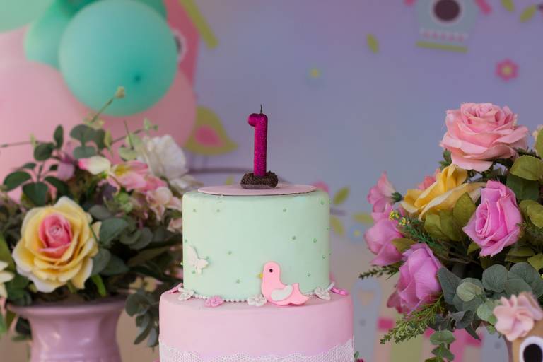 Aniversário infantil Ribeirão Preto