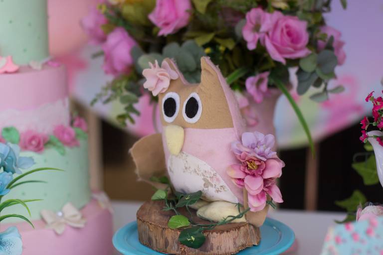 Aniversário infantil Ribeirão Preto