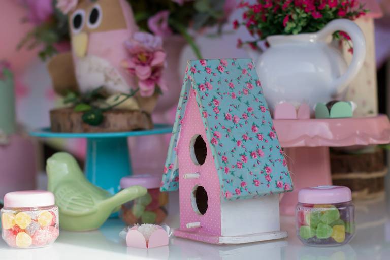 Aniversário infantil Ribeirão Preto