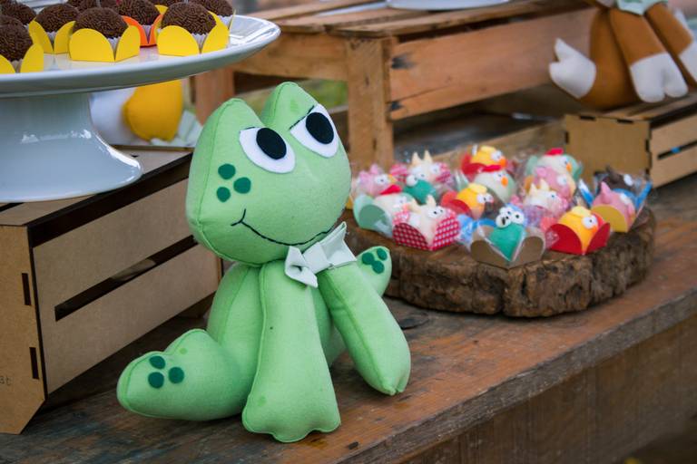 Aniversário infantil Mococa