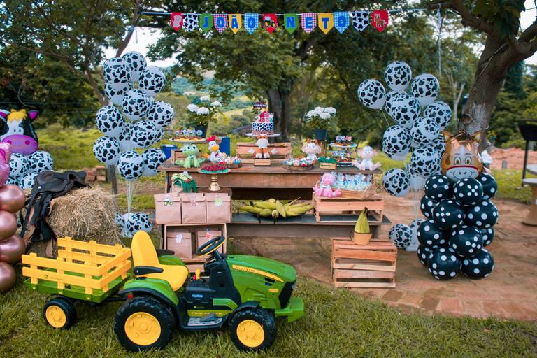 Aniversário infantil Mococa