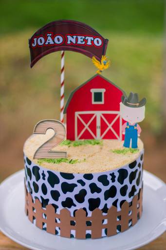 Aniversário infantil Mococa