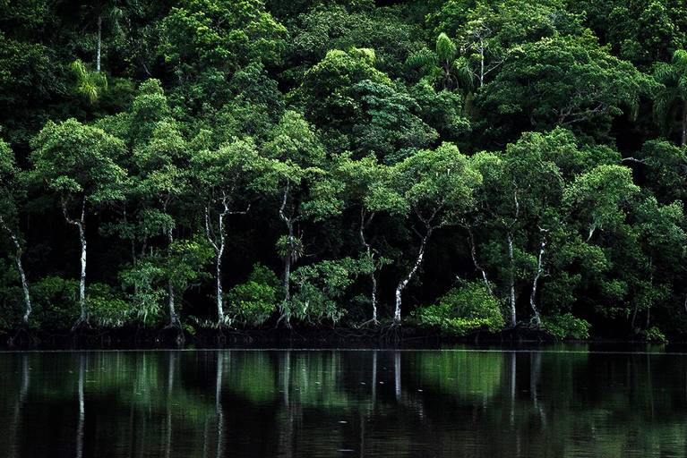 Paisagem em Lagamar, Cananéia-SP