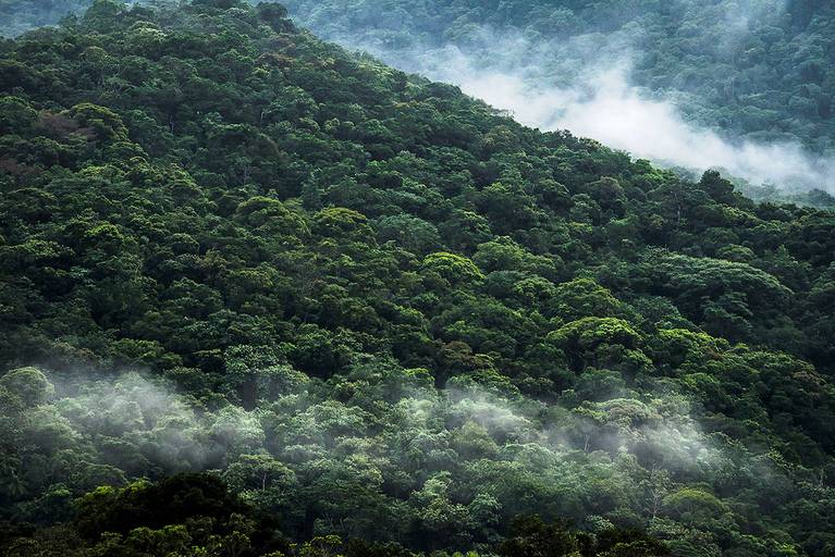 Paisagem em Lagamar, Cananéia-SP