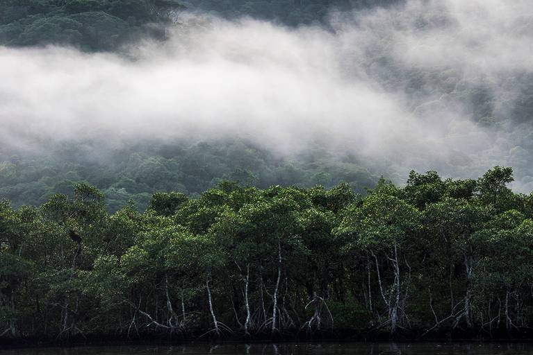 Paisagem em Lagamar, Cananéia-SP