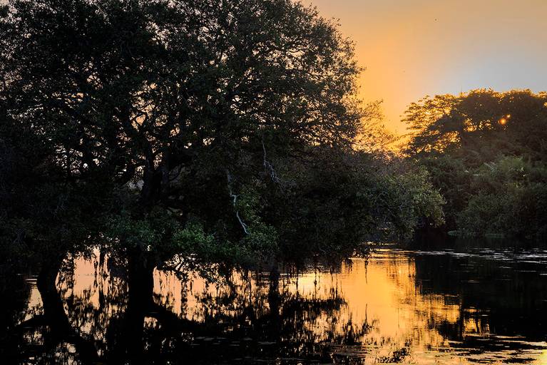 Paisagem pantaneira ao entardecer