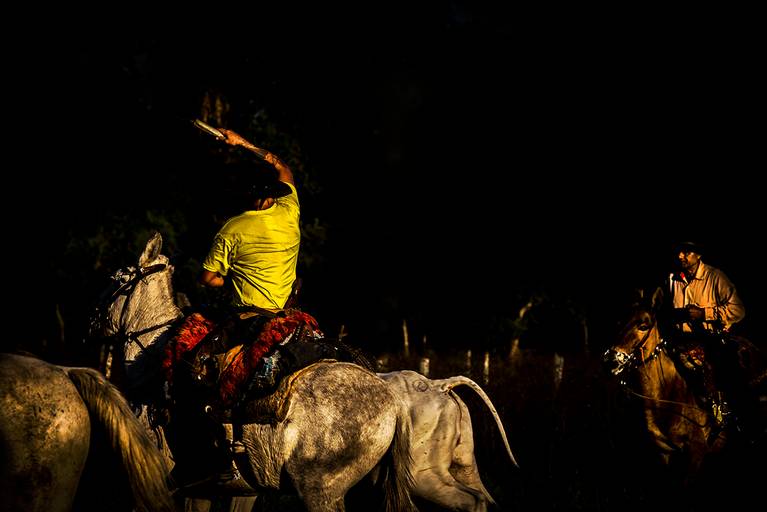Comitiva passando pelo Pantanal de Nhecolândia, Mato Grosso do Sul