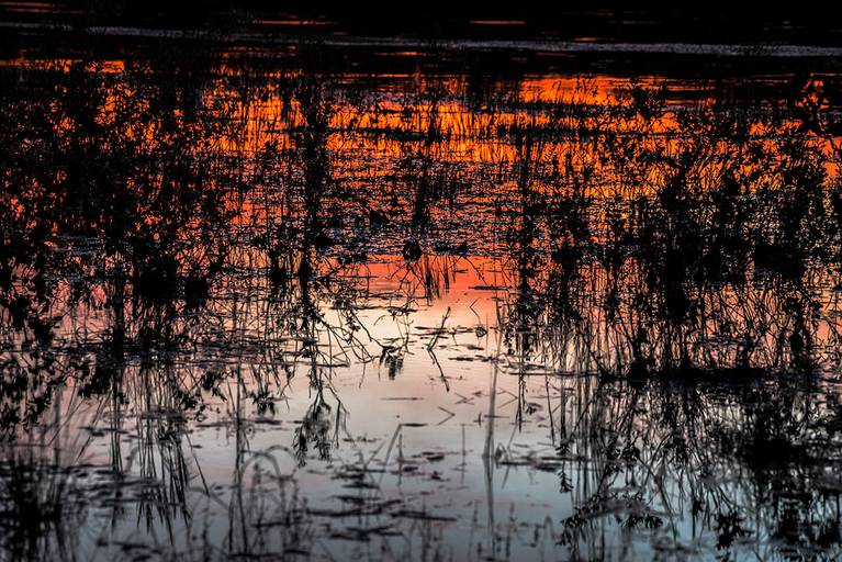 Pantanal Nhecolândia, Mato Grosso do Sul