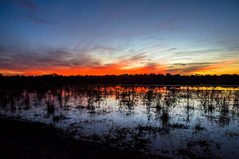 Pantanal Nhecolândia, Mato Grosso do Sul