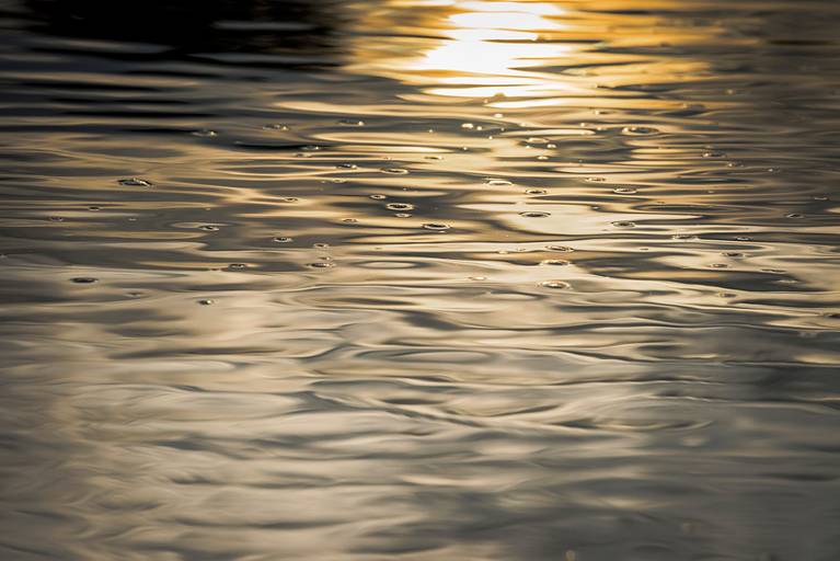 Cores, texturas, reflexos e movimentos na água