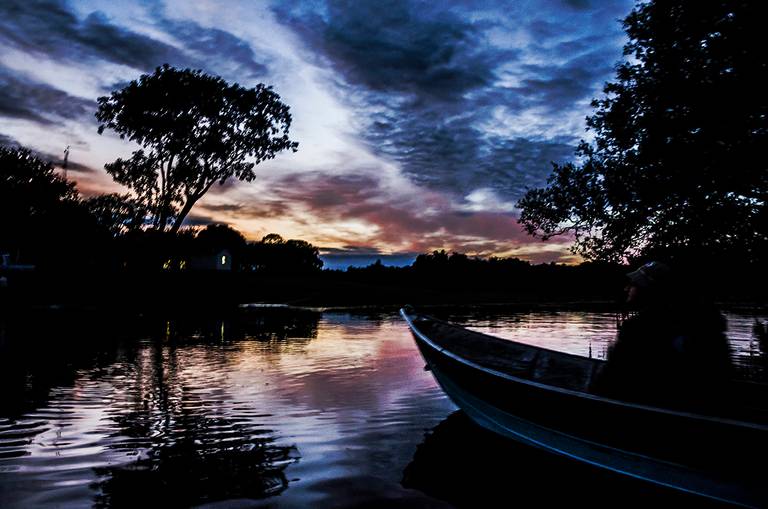 Pantanal Nhecolândia, Mato Grosso do Sul