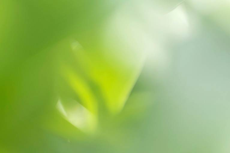 Série Sussurros da natureza