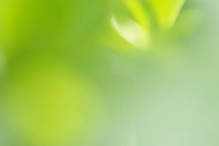 Série Sussurros da natureza