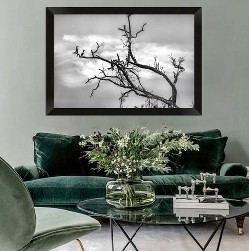 Fotos em fine art e quadros para decorar diversos tipos de ambientes.