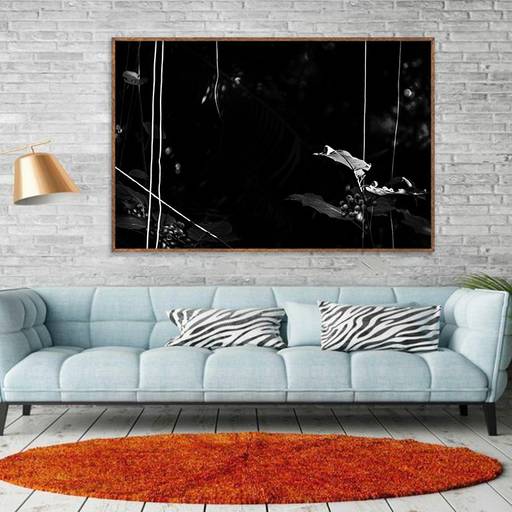 Fotos da Série Alaya