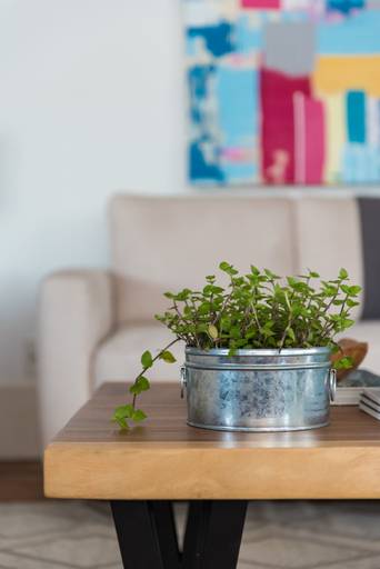 Fotografia profissional institucional  e corporativa para empresas de arquitetura, design de interiores e construtoras / Projeto: Graviola Interiores