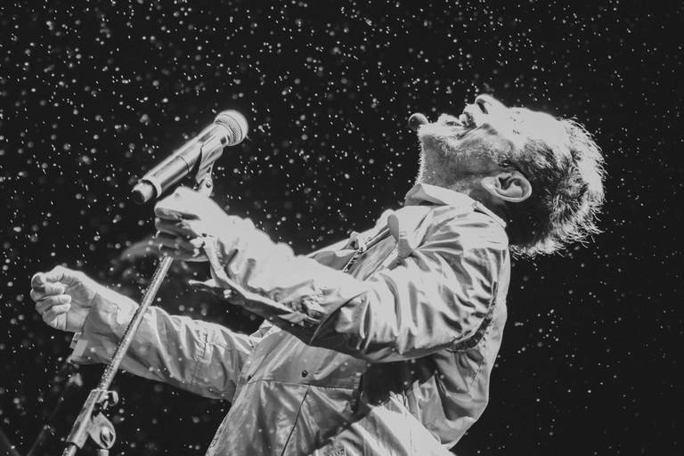 Tom Zé, Fotografia de música MIMO Festival