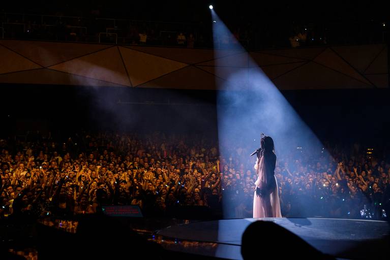 Fotografia de música show Gal Costa
