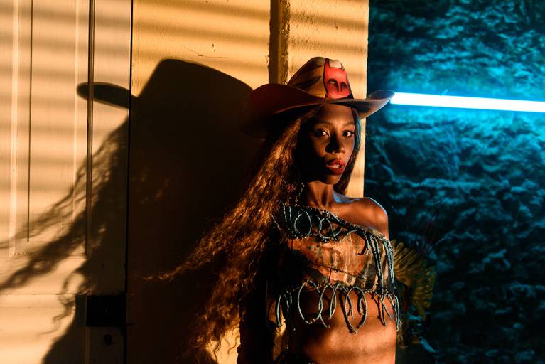 Fotografia de música show Gal Costa