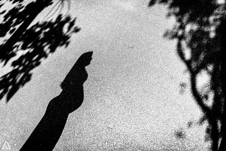 Ensaio Book Foto de Gestante Alex Jardim Fotografia Fotógrafo Resende Itatiaia Penedo Porto Real Quatis Barra Mansa Volta Redonda Serrinha do Alambari Mauá Maringá Maromba Gravidiva TOP lindas Natureza Família