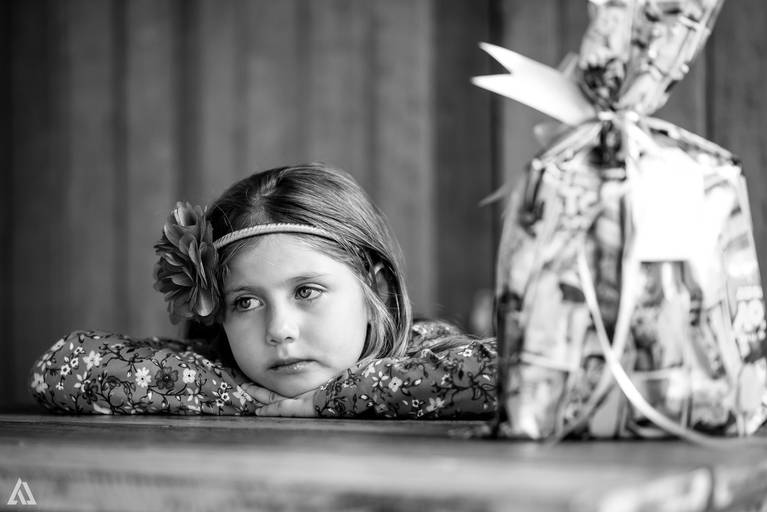 Alex Jardim Fotografia Fotógrafo Festa Aniversário Infantil Resende Penedo Itatiaia Quatis Porto Real Barra Mansa Volta Redonda