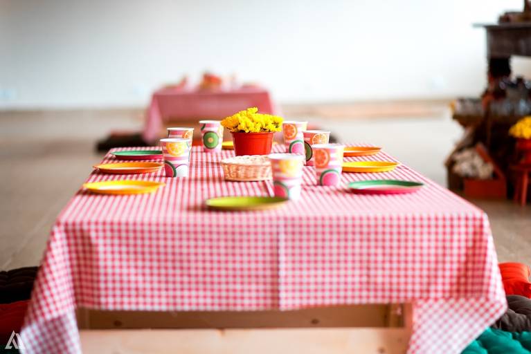 Alex Jardim Fotografia Fotógrafo Festa Aniversário Infantil Resende Penedo Itatiaia Quatis Porto Real Barra Mansa Volta Redonda