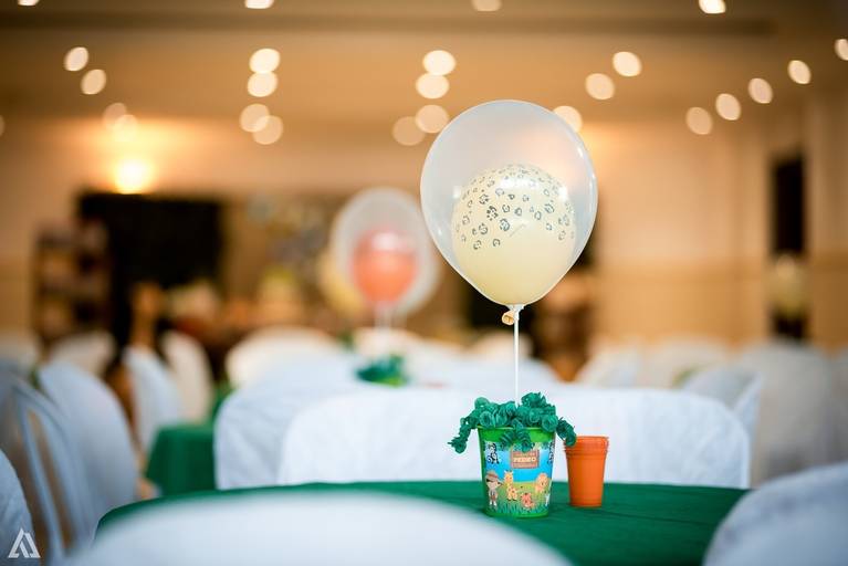 Alex Jardim Fotografia Fotógrafo Festa Aniversário Infantil Resende Penedo Itatiaia Quatis Porto Real Barra Mansa Volta Redonda