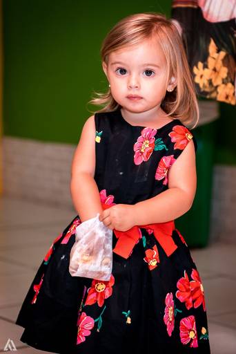 Alex Jardim Fotografia Fotógrafo Festa Aniversário Infantil Resende Penedo Itatiaia Quatis Porto Real Barra Mansa Volta Redonda