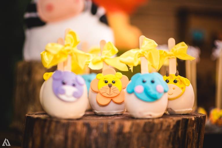 Alex Jardim Fotografia Fotógrafo Festa Aniversário Infantil Resende Penedo Itatiaia Quatis Porto Real Barra Mansa Volta Redonda