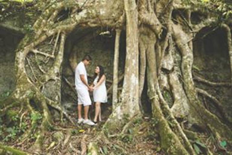 foto de noivos na árvore 